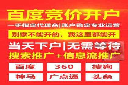 百度推广成功案例分析